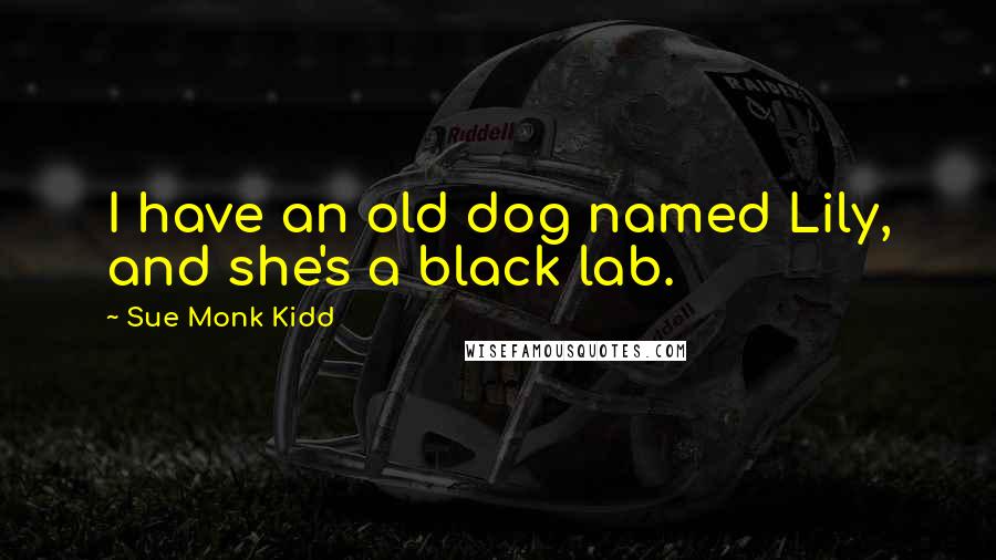 Sue Monk Kidd Quotes: I have an old dog named Lily, and she's a black lab.