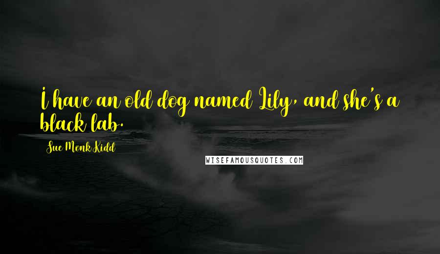 Sue Monk Kidd Quotes: I have an old dog named Lily, and she's a black lab.