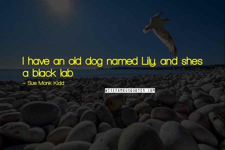Sue Monk Kidd Quotes: I have an old dog named Lily, and she's a black lab.