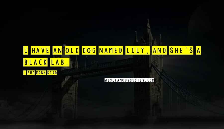 Sue Monk Kidd Quotes: I have an old dog named Lily, and she's a black lab.