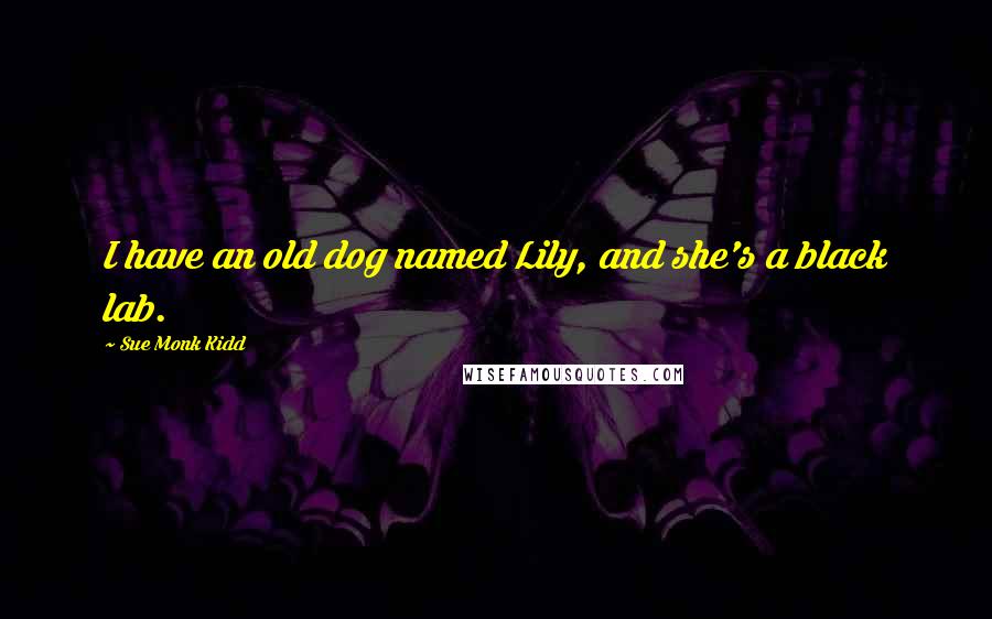 Sue Monk Kidd Quotes: I have an old dog named Lily, and she's a black lab.
