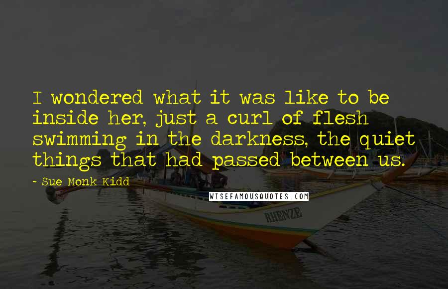 Sue Monk Kidd Quotes: I wondered what it was like to be inside her, just a curl of flesh swimming in the darkness, the quiet things that had passed between us.