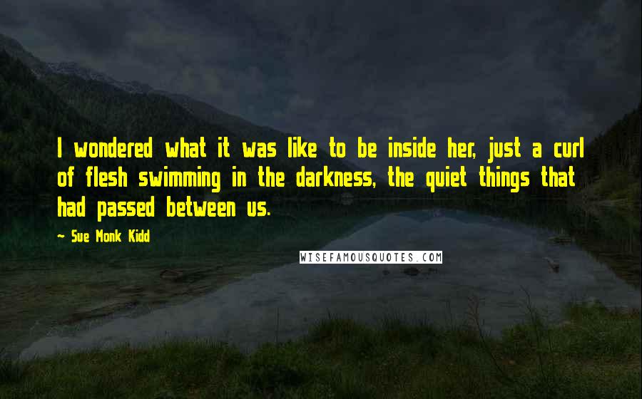 Sue Monk Kidd Quotes: I wondered what it was like to be inside her, just a curl of flesh swimming in the darkness, the quiet things that had passed between us.