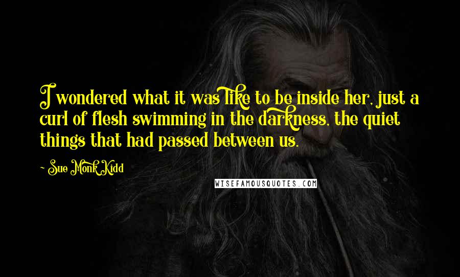 Sue Monk Kidd Quotes: I wondered what it was like to be inside her, just a curl of flesh swimming in the darkness, the quiet things that had passed between us.