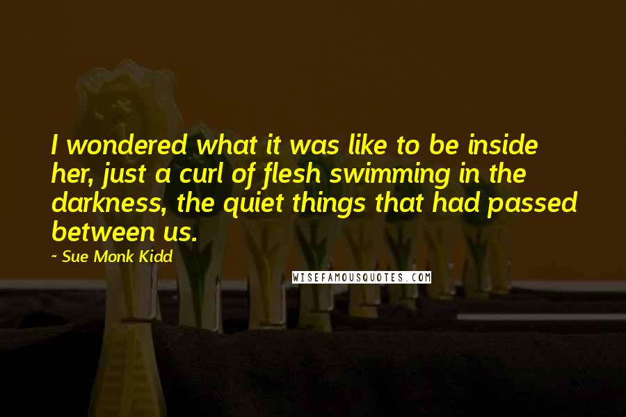 Sue Monk Kidd Quotes: I wondered what it was like to be inside her, just a curl of flesh swimming in the darkness, the quiet things that had passed between us.