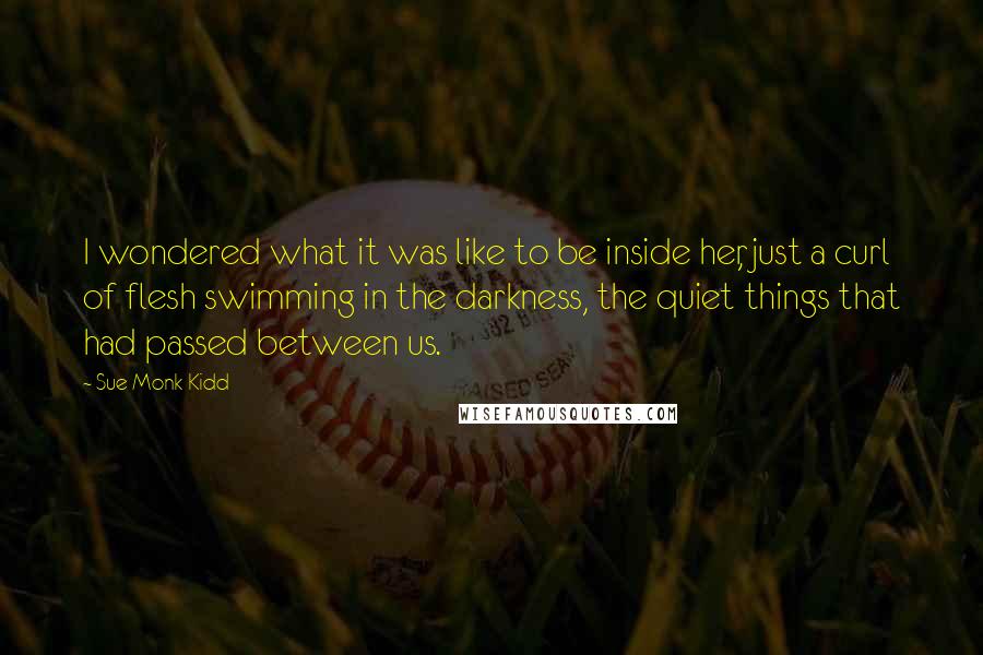 Sue Monk Kidd Quotes: I wondered what it was like to be inside her, just a curl of flesh swimming in the darkness, the quiet things that had passed between us.