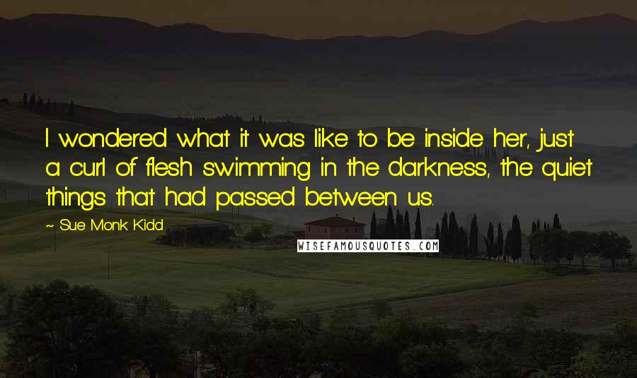 Sue Monk Kidd Quotes: I wondered what it was like to be inside her, just a curl of flesh swimming in the darkness, the quiet things that had passed between us.
