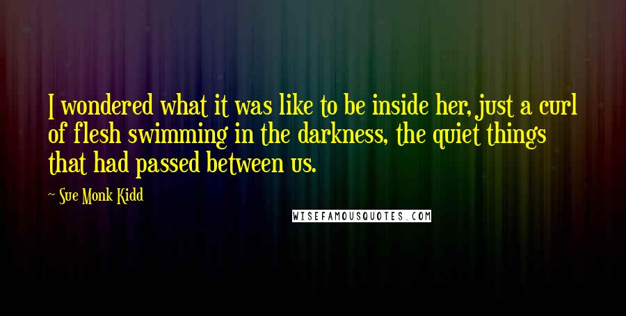 Sue Monk Kidd Quotes: I wondered what it was like to be inside her, just a curl of flesh swimming in the darkness, the quiet things that had passed between us.