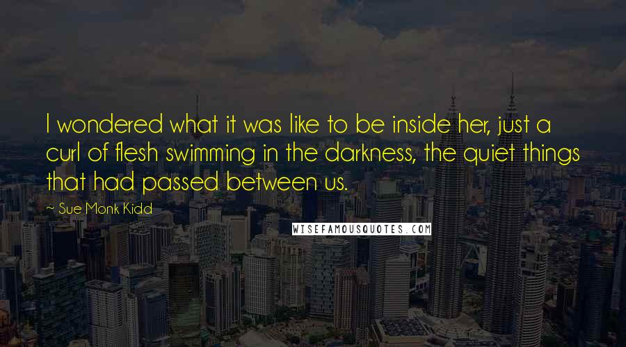 Sue Monk Kidd Quotes: I wondered what it was like to be inside her, just a curl of flesh swimming in the darkness, the quiet things that had passed between us.