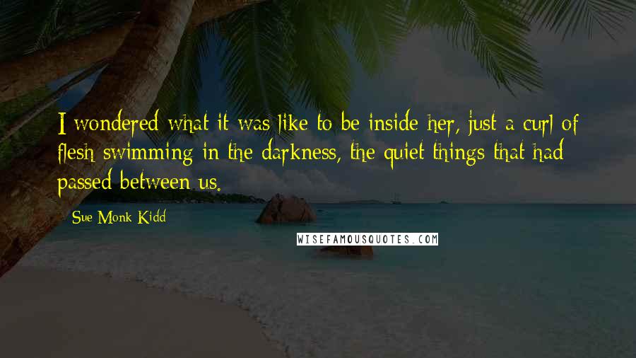 Sue Monk Kidd Quotes: I wondered what it was like to be inside her, just a curl of flesh swimming in the darkness, the quiet things that had passed between us.