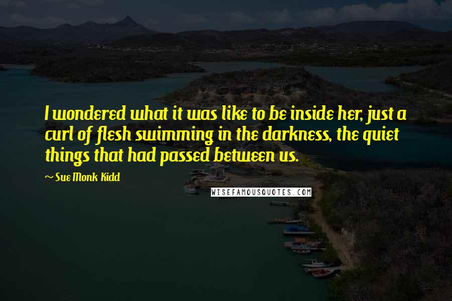 Sue Monk Kidd Quotes: I wondered what it was like to be inside her, just a curl of flesh swimming in the darkness, the quiet things that had passed between us.