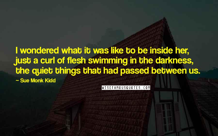 Sue Monk Kidd Quotes: I wondered what it was like to be inside her, just a curl of flesh swimming in the darkness, the quiet things that had passed between us.