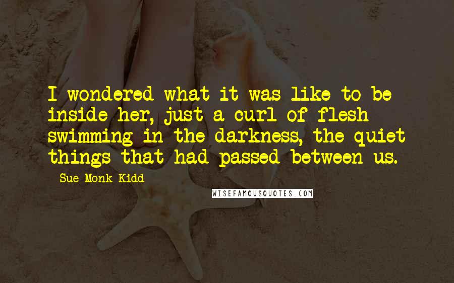 Sue Monk Kidd Quotes: I wondered what it was like to be inside her, just a curl of flesh swimming in the darkness, the quiet things that had passed between us.