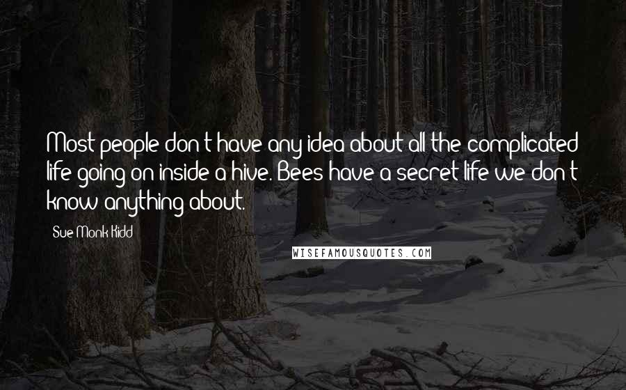 Sue Monk Kidd Quotes: Most people don't have any idea about all the complicated life going on inside a hive. Bees have a secret life we don't know anything about.