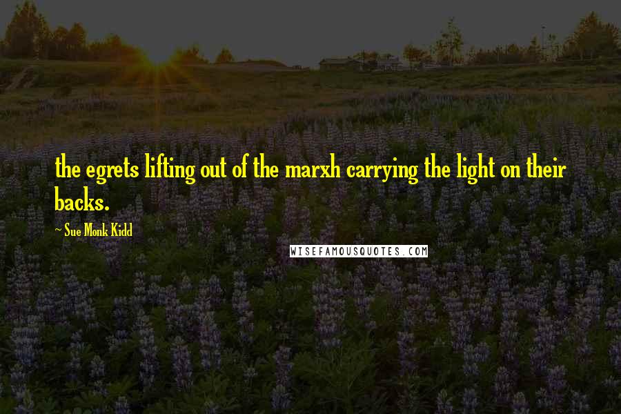 Sue Monk Kidd Quotes: the egrets lifting out of the marxh carrying the light on their backs.