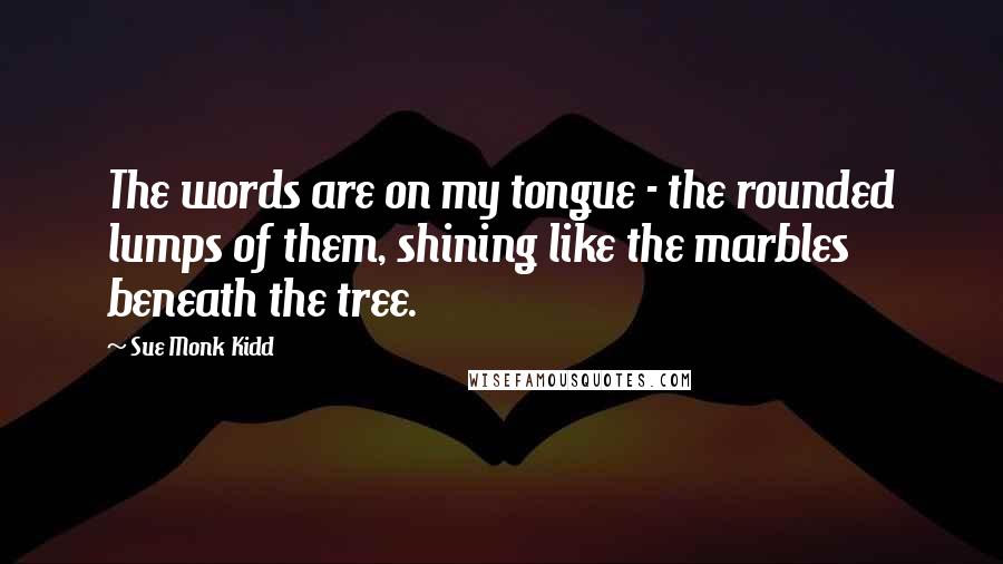 Sue Monk Kidd Quotes: The words are on my tongue - the rounded lumps of them, shining like the marbles beneath the tree.