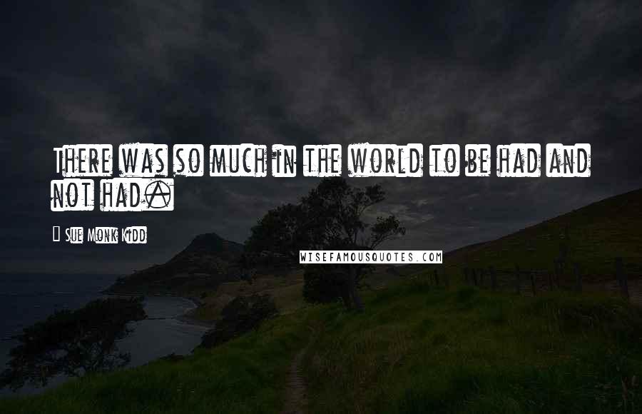 Sue Monk Kidd Quotes: There was so much in the world to be had and not had.