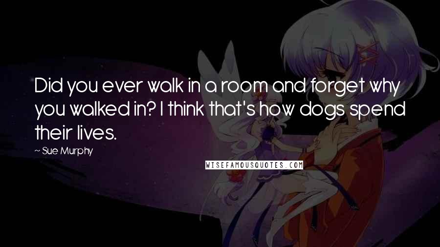 Sue Murphy Quotes: Did you ever walk in a room and forget why you walked in? I think that's how dogs spend their lives.