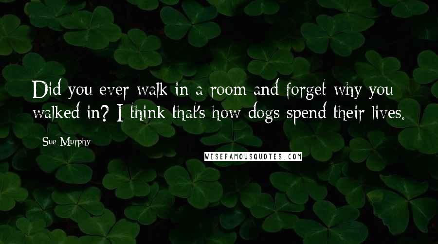 Sue Murphy Quotes: Did you ever walk in a room and forget why you walked in? I think that's how dogs spend their lives.