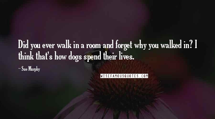 Sue Murphy Quotes: Did you ever walk in a room and forget why you walked in? I think that's how dogs spend their lives.