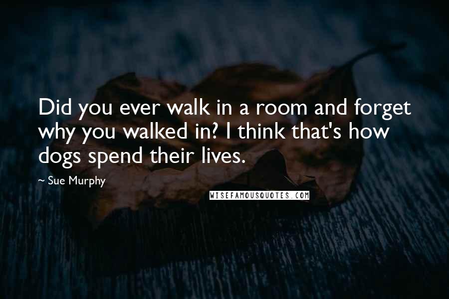 Sue Murphy Quotes: Did you ever walk in a room and forget why you walked in? I think that's how dogs spend their lives.