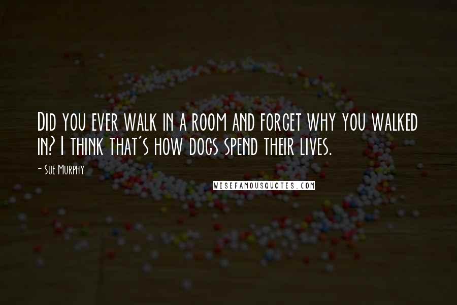 Sue Murphy Quotes: Did you ever walk in a room and forget why you walked in? I think that's how dogs spend their lives.