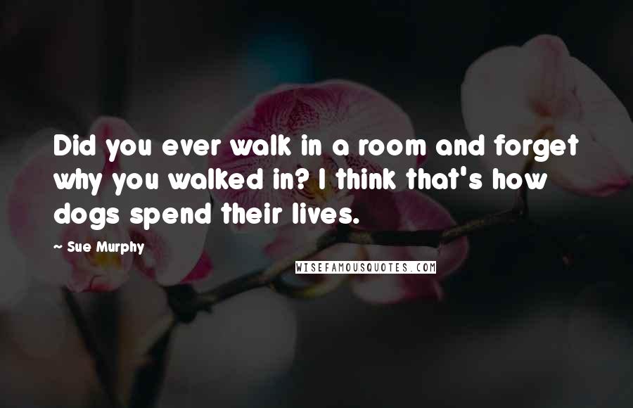 Sue Murphy Quotes: Did you ever walk in a room and forget why you walked in? I think that's how dogs spend their lives.