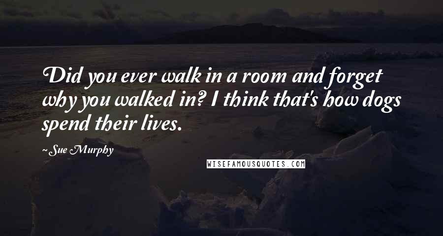 Sue Murphy Quotes: Did you ever walk in a room and forget why you walked in? I think that's how dogs spend their lives.