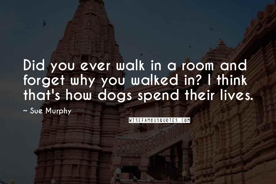 Sue Murphy Quotes: Did you ever walk in a room and forget why you walked in? I think that's how dogs spend their lives.