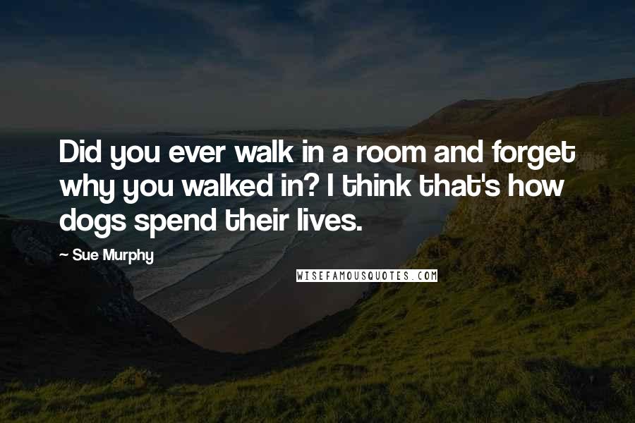 Sue Murphy Quotes: Did you ever walk in a room and forget why you walked in? I think that's how dogs spend their lives.