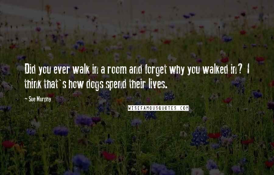 Sue Murphy Quotes: Did you ever walk in a room and forget why you walked in? I think that's how dogs spend their lives.