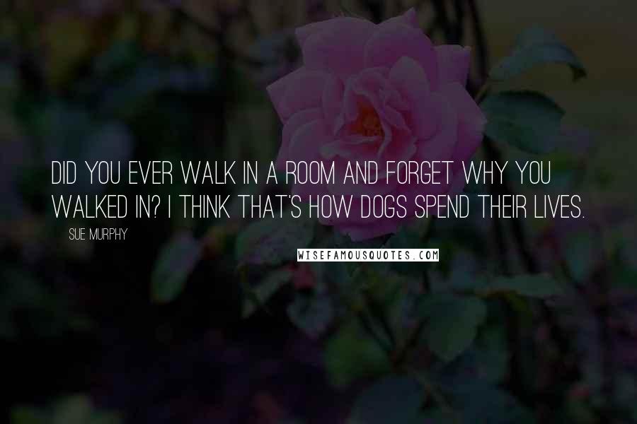 Sue Murphy Quotes: Did you ever walk in a room and forget why you walked in? I think that's how dogs spend their lives.