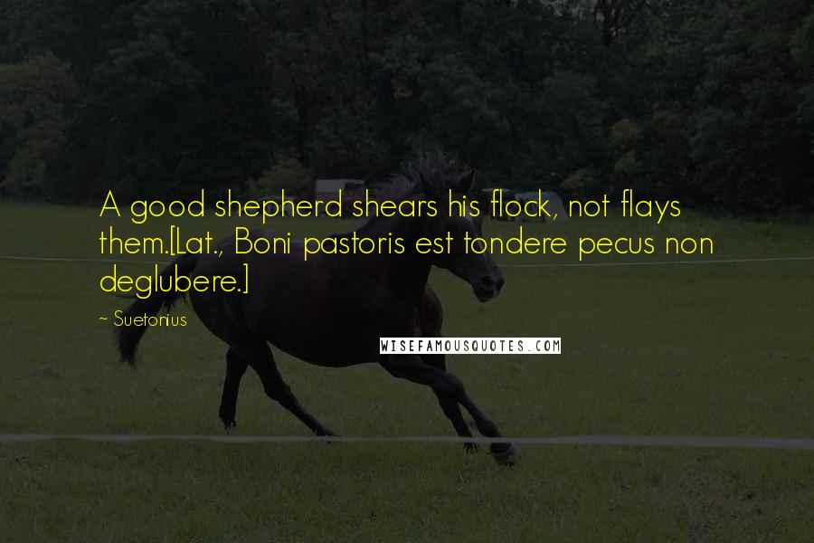 Suetonius Quotes: A good shepherd shears his flock, not flays them.[Lat., Boni pastoris est tondere pecus non deglubere.]