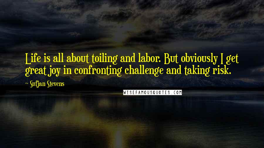 Sufjan Stevens Quotes: Life is all about toiling and labor. But obviously I get great joy in confronting challenge and taking risk.