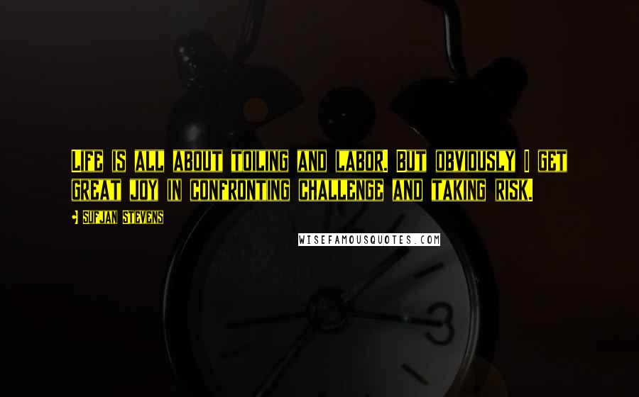 Sufjan Stevens Quotes: Life is all about toiling and labor. But obviously I get great joy in confronting challenge and taking risk.