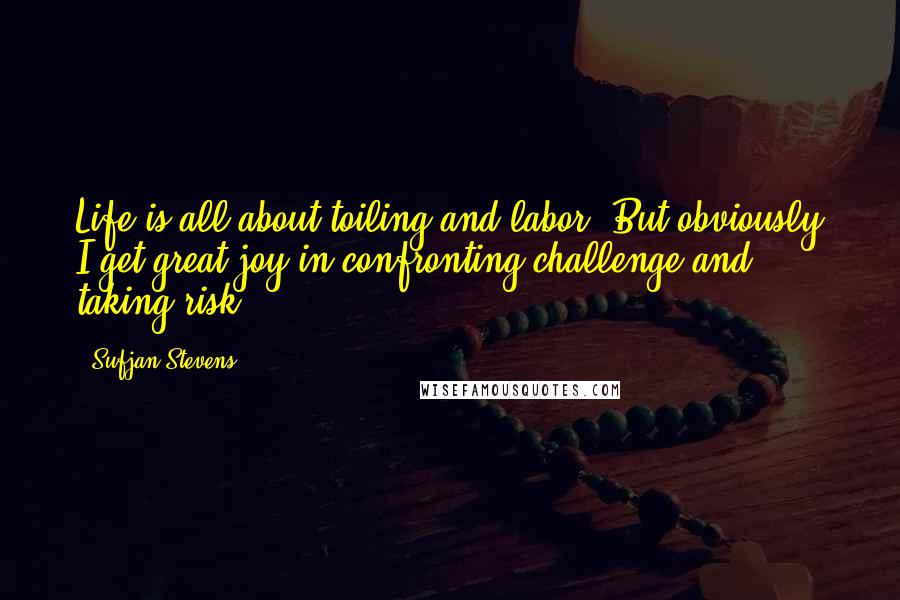 Sufjan Stevens Quotes: Life is all about toiling and labor. But obviously I get great joy in confronting challenge and taking risk.