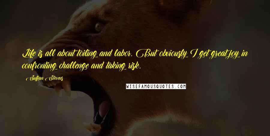 Sufjan Stevens Quotes: Life is all about toiling and labor. But obviously I get great joy in confronting challenge and taking risk.