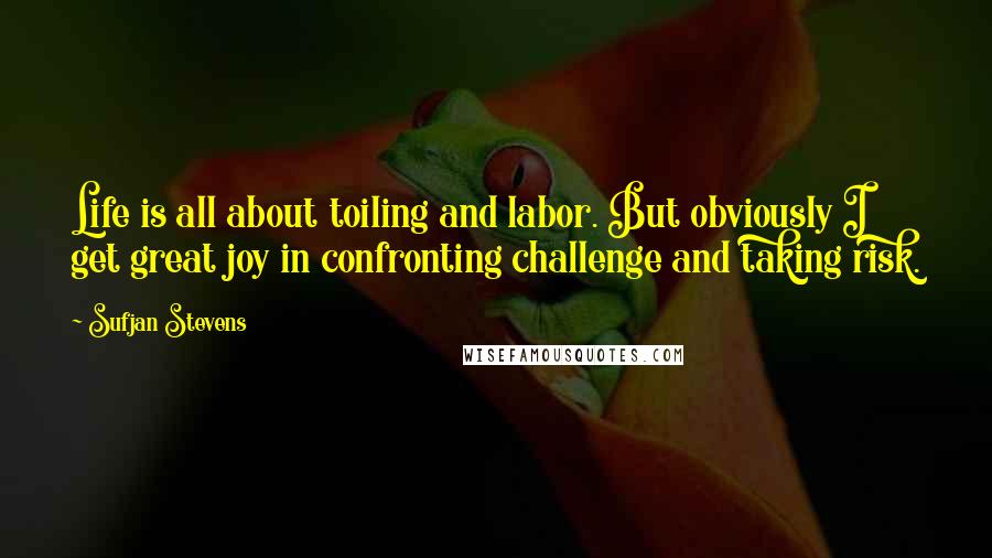 Sufjan Stevens Quotes: Life is all about toiling and labor. But obviously I get great joy in confronting challenge and taking risk.