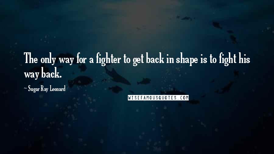 Sugar Ray Leonard Quotes: The only way for a fighter to get back in shape is to fight his way back.