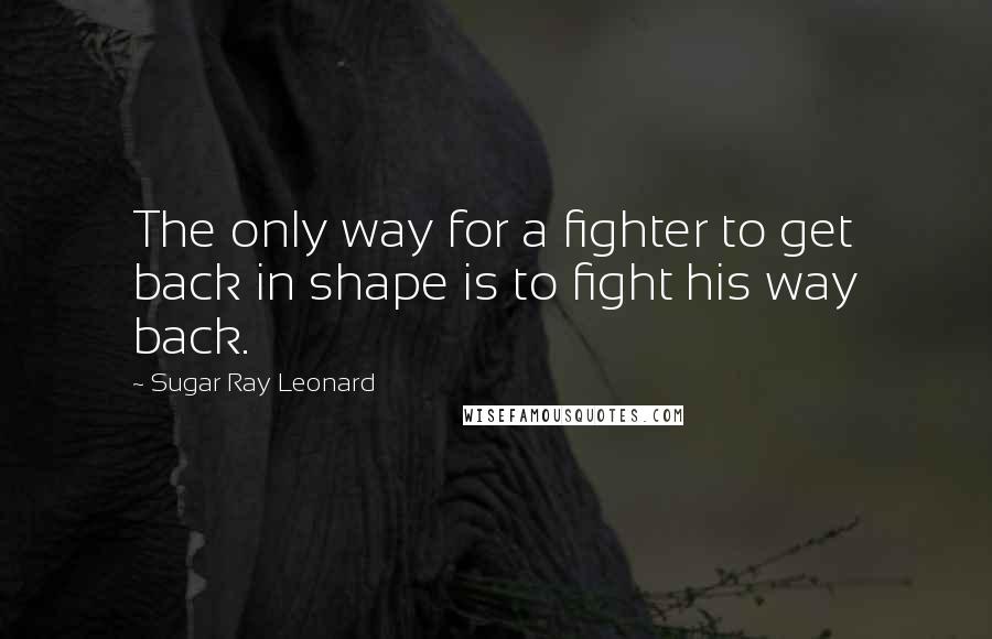 Sugar Ray Leonard Quotes: The only way for a fighter to get back in shape is to fight his way back.