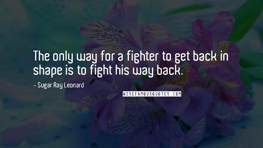 Sugar Ray Leonard Quotes: The only way for a fighter to get back in shape is to fight his way back.