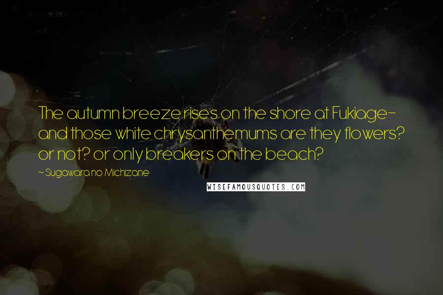 Sugawara No Michizane Quotes: The autumn breeze rises on the shore at Fukiage- and those white chrysanthemums are they flowers? or not? or only breakers on the beach?