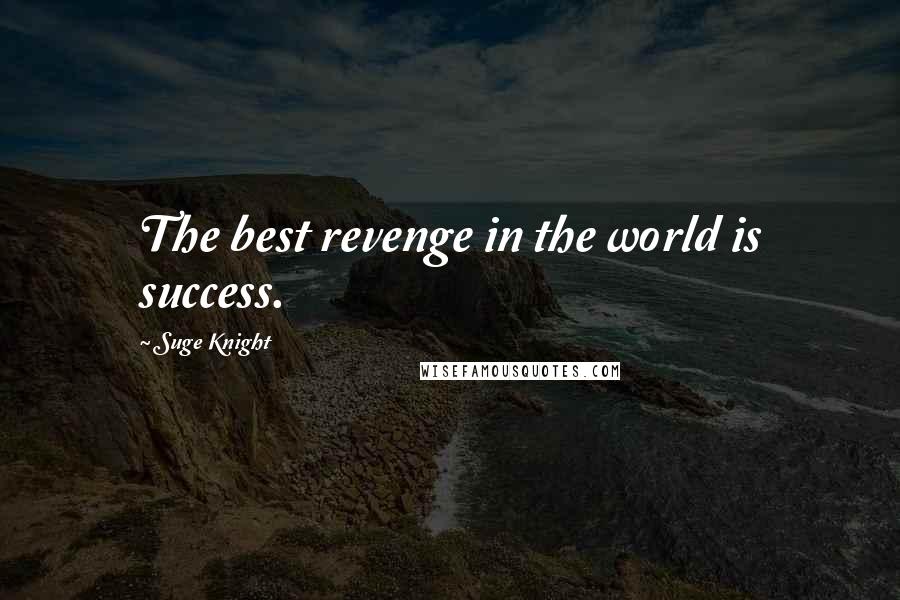 Suge Knight Quotes: The best revenge in the world is success.