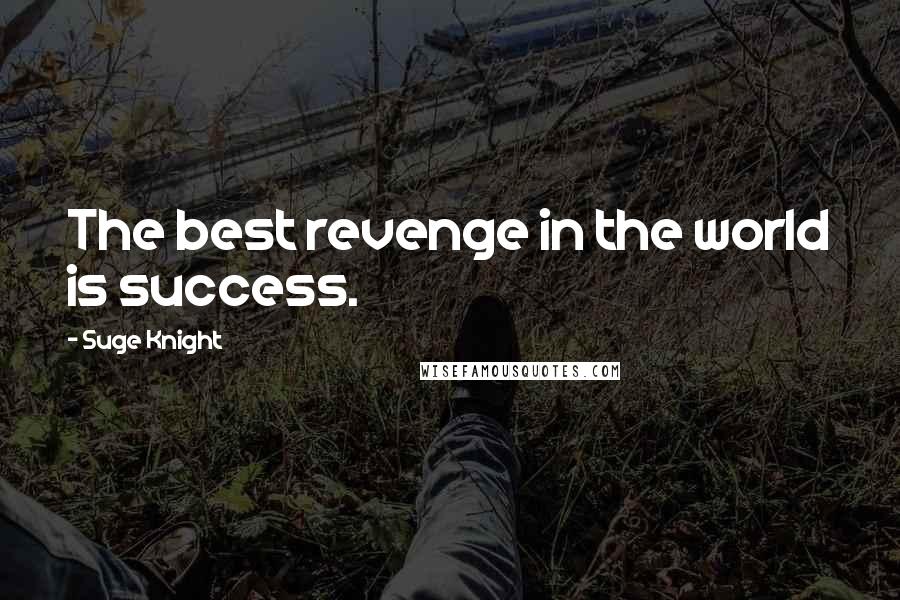 Suge Knight Quotes: The best revenge in the world is success.