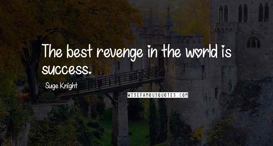 Suge Knight Quotes: The best revenge in the world is success.