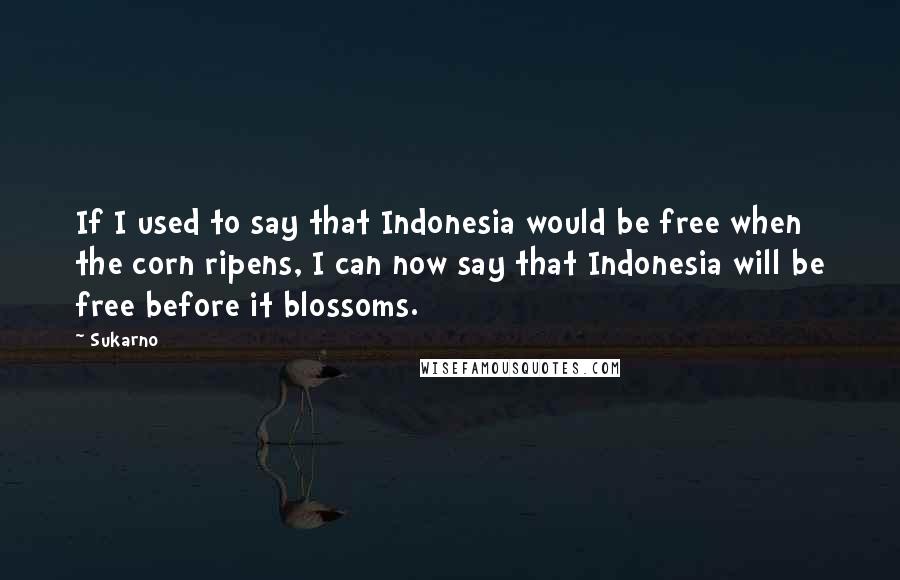 Sukarno Quotes: If I used to say that Indonesia would be free when the corn ripens, I can now say that Indonesia will be free before it blossoms.