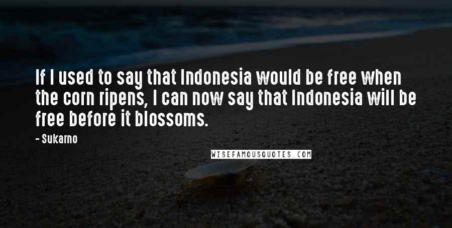 Sukarno Quotes: If I used to say that Indonesia would be free when the corn ripens, I can now say that Indonesia will be free before it blossoms.