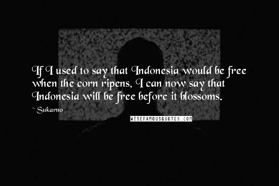 Sukarno Quotes: If I used to say that Indonesia would be free when the corn ripens, I can now say that Indonesia will be free before it blossoms.