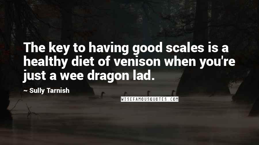 Sully Tarnish Quotes: The key to having good scales is a healthy diet of venison when you're just a wee dragon lad.