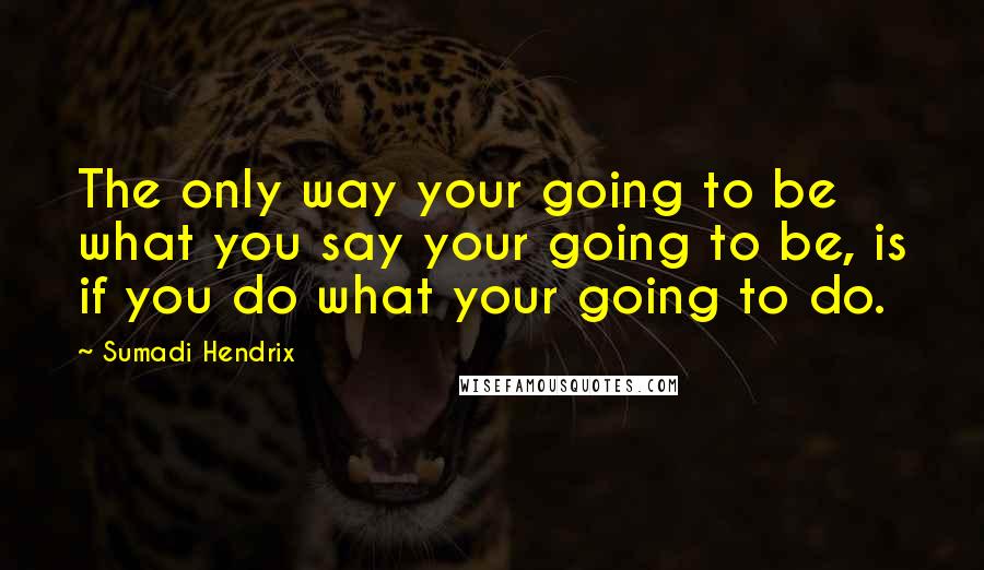 Sumadi Hendrix Quotes: The only way your going to be what you say your going to be, is if you do what your going to do.